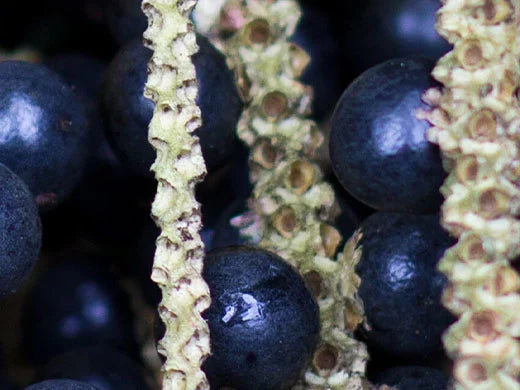 Acai
