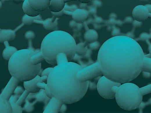 Amino Acids