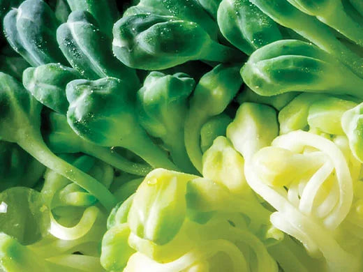 Broccoli