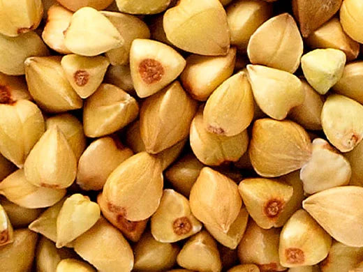 Buckwheat