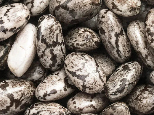Chia Seed Oil