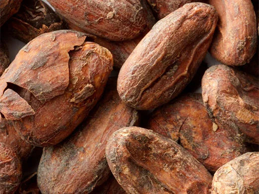 Cocoa