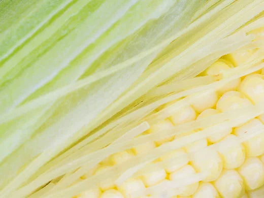 Cornsilk