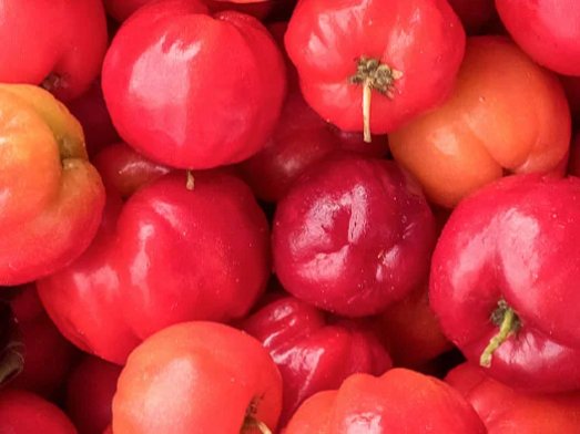 Fermented Acerola Cherry