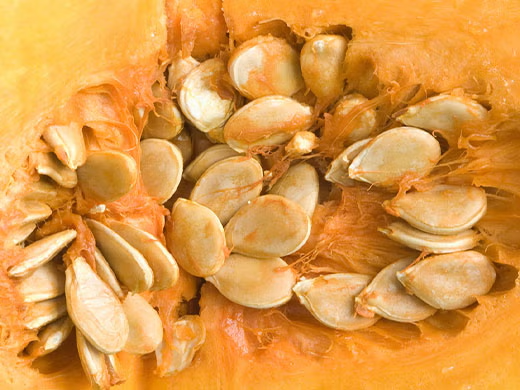 Fermented Pumpkin