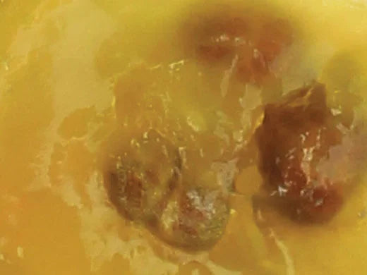 Grapeseed Oil