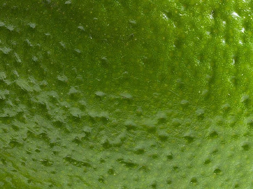 Lime Peel