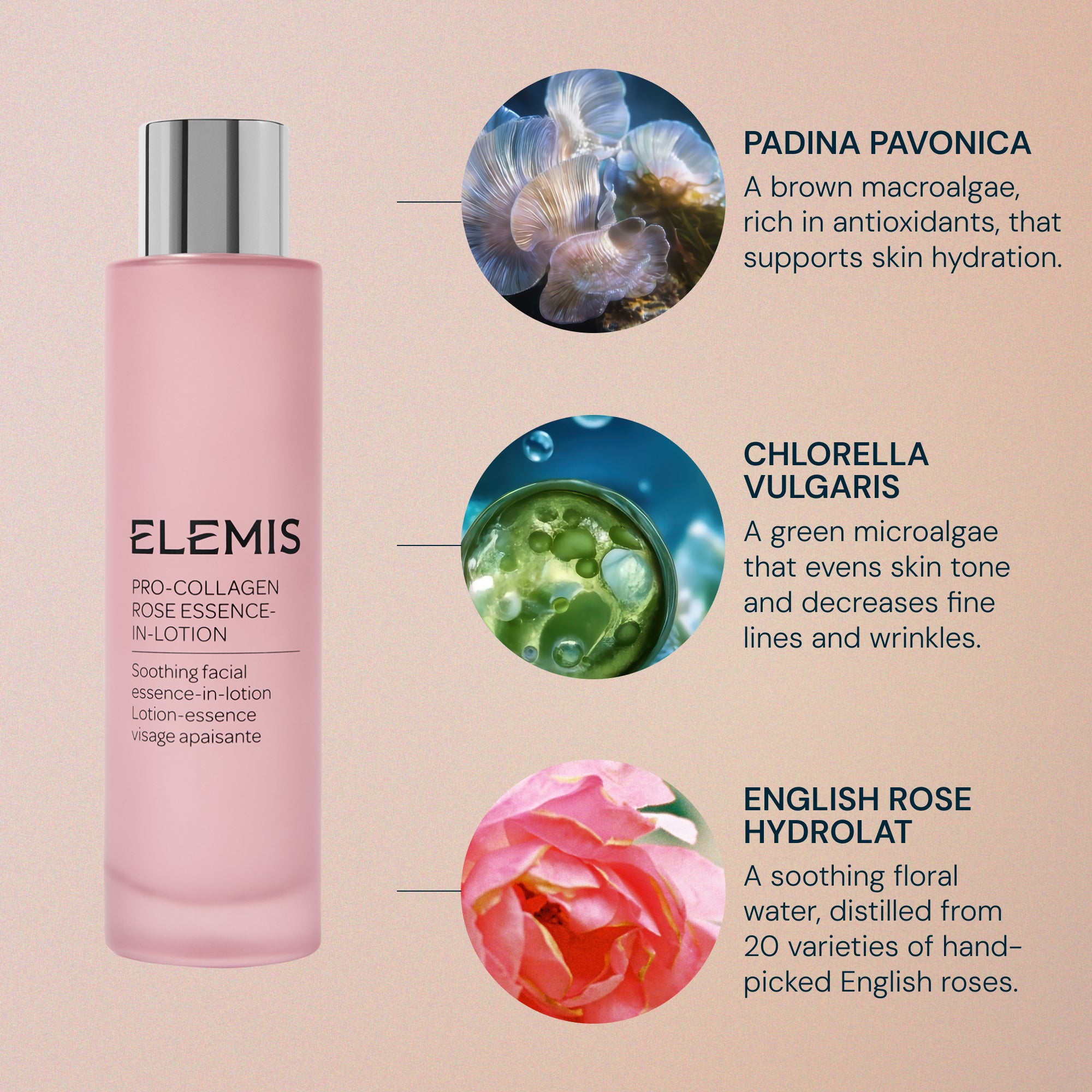 Pro-Collagen Rose Essence Lotion 100ml