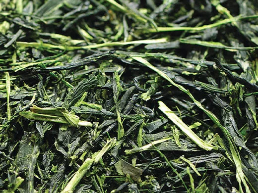 Matcha Tea