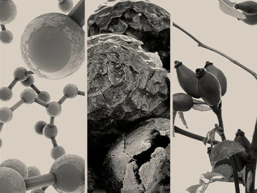 Micelles
