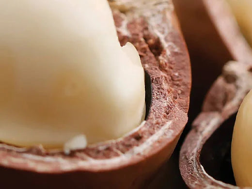Macadamia